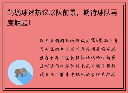 鹈鹕球迷热议球队前景，期待球队再度崛起！